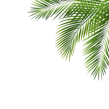 Palm leaf decoration